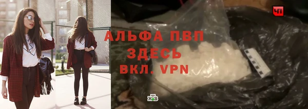 ECSTASY Лабытнанги