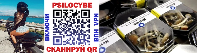 Купить где  Кола  Псилоцибиновые грибы ЛСД 